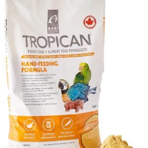 Parrots feed for sale