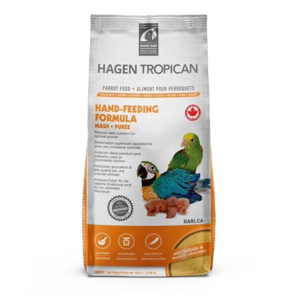 Parrots Feed for sale