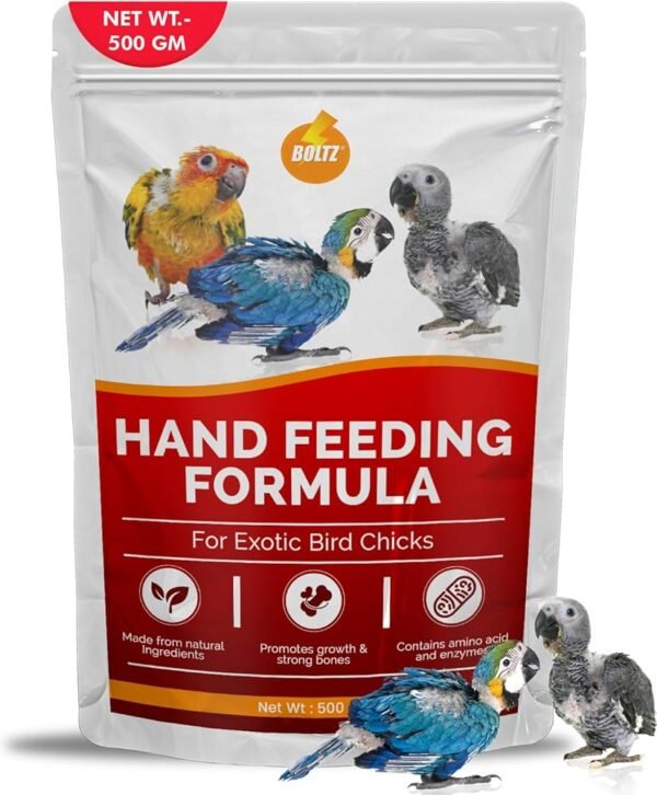 Parrots Feed for sale